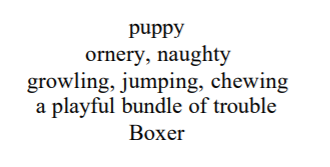 puppy cinaquin poem